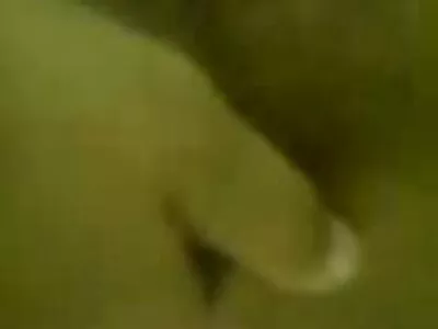 ஃபக்கிங் சேம்ப் ஆபத்தானது! வீடியோ (லோனி)