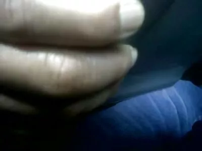 இலவச வீடியோ வாடகை (அலெக்ஸாண்ட்ரா பூனை)