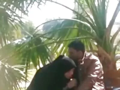 கூட்டாளிகளின் சொத்துக்கள் வீடியோ (அல்லி ஹேஸ்)